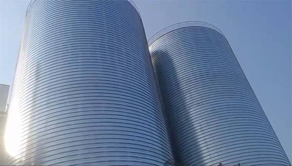 佛山2座混凝土高架卷板仓